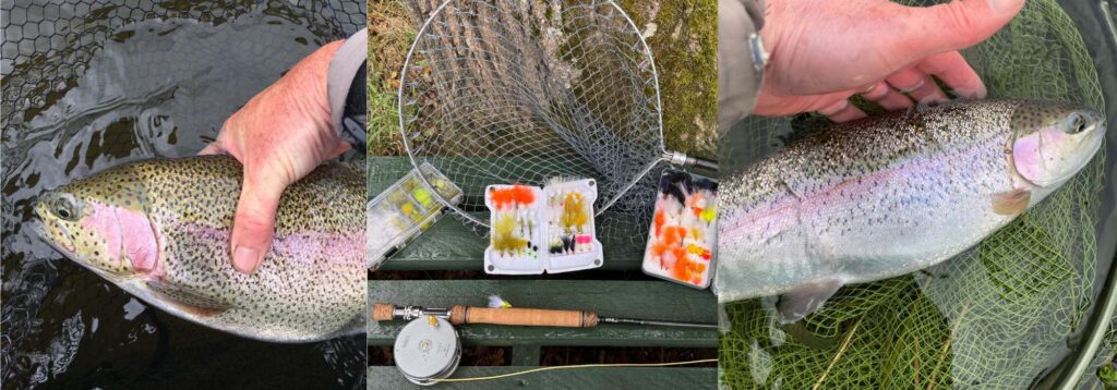 Rainbow Trout fishing in Scotland