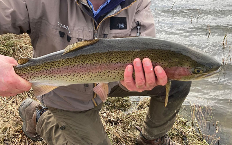 morning fishing rainbow trout in Scotland